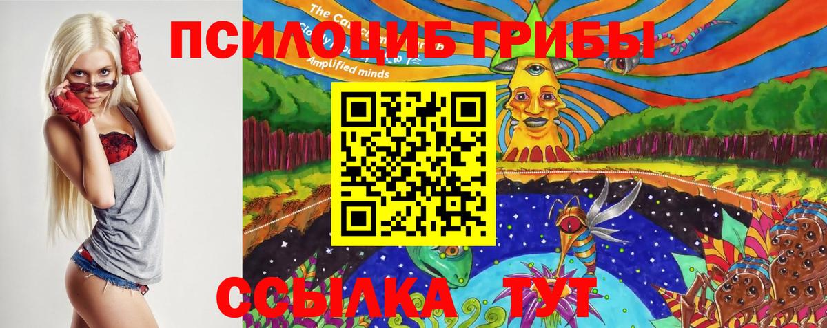 даркнет сайт  Псилоцибиновые грибы Psilocybe  Вход с VPN  Волоколамск 